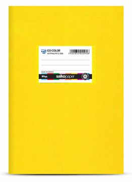 ΤΕΤΡΑΔΙΟ ΡΙΓΕ EX-COLOR A5 15X20cm 50Φ. 80gr. ΚΙΤΡΙΝΟ