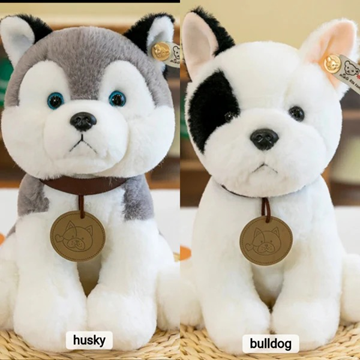 ΛΟΥΤΡΙΝΟ ΣΚΥΛΑΚΙ 22ΕΚ Α΄ΠΟΙΟΤΗΤΑ ΜΑΛΑΚΟ Νο 18-98653