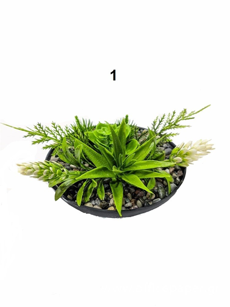 ΓΛΑΣΤΡΑΚΙ ME ΦΥΤΟ Νο15  φ3xΥ15cm 3 ΧΡΩΜΑΤΑ Ε-4315