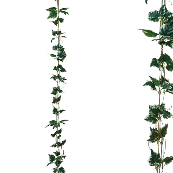 ΓΙΡΛΑΝΤΑ ΚΙΣΣΟΣ ΠΡΑΣΙΝΟΣ ΠΛΑΤΥΦΥΛΛΟΣ X3 ΚΛΑΔΙΑ  - ΥΨΟΣ 270cm 00-3507-7