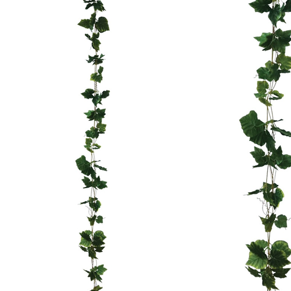 ΓΙΡΛΑΝΤΑ ΚΙΣΣΟΣ ΠΡΑΣΙΝΟΣ ΜΗΚΟΣ 1.70 ΜΕΤΡΑ