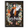 ΤΕΤΡΑΔΙΟ ΣΠΙΡΑΛ MONO SALKO HARRY POTTER DEATHLY HALLOWS V.2 B5 17X25 60Φ-120σελ. ΘΕΜΑΤΑ 2 7362