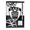 ΤΕΤΡΑΔΙΟ ΚΑΡΦΙΤΣΑ ΠΑΟΚ 17X25 40Φ 2 ΣΧΕΔΙΑ 2025 000132004