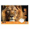 ΜΠΛΟΚ ΖΩΓΡΑΦΙΚΗΣ MUST TEAM LION 23X33cm A4 40Φ ΜΕ ΣΤΕΝΣΙΛ ΚΑΙ ΑΥΤΟΚΟΛΛΗΤΑ 000571025